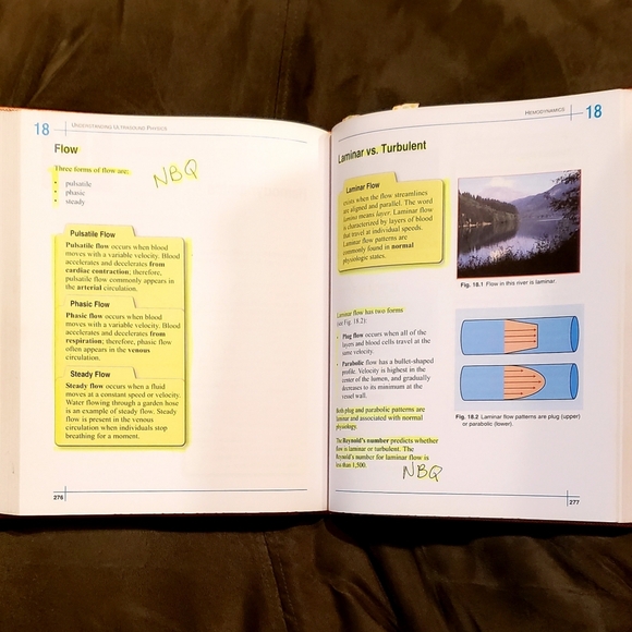 ESP - Understanding Ultrasound Physics - Sidney K Edelman - Great Guide Book - Picture 4 of 5
